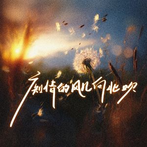 痴情风儿向北吹