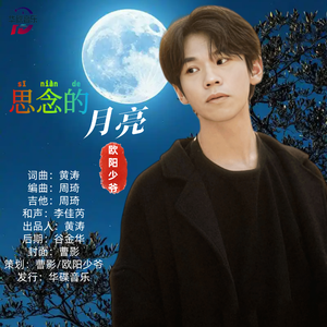 思念的月亮