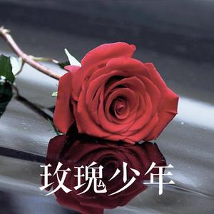 玫瑰少年