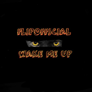 Wake Me Up