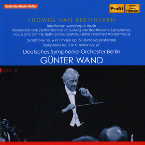Symphony No. 5 in C Minor, Op. 67:IV. Allegro