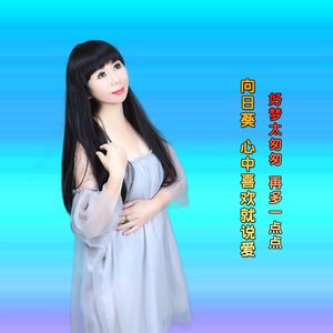 向日葵 心中喜欢就说爱 好梦太匆匆 再多一点点