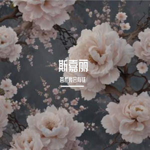 斯嘉丽