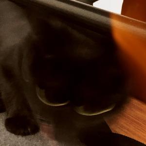 紫色病房P-R随笔