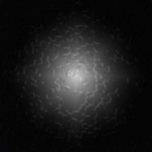 请让我活一次(纯音)