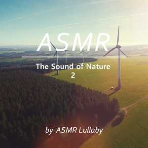 답답한 마음이 탁 트이는 바람 소리 (수면, 숙면, 수면음악, 휴식, 힐링, ASMR)