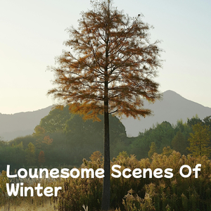 Lounesome Scenes Of Winter