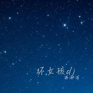 坏女孩dj (Cover 林怡婕)