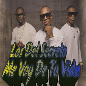 Me Voy De Tu Vida