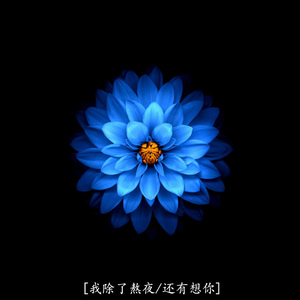 总要慢慢习惯生活的难 (DJ版)