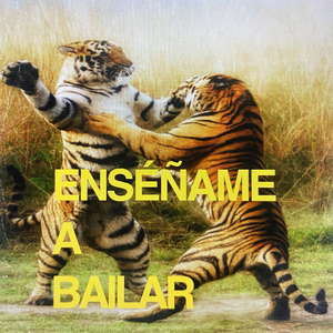 ENSEÑAME A BAILAR