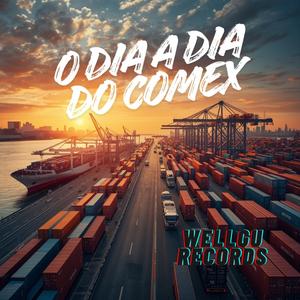 O dia a dia do Comex