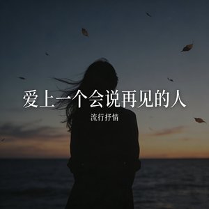 爱上一个会说再见的人