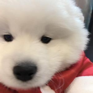 太多话想要对你说