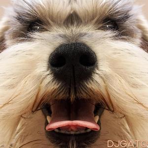 DJGATO (feat. Deformis Sonus, Theo Merino, Emanuel Medina, DJGATO & Taco)
