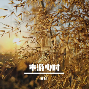 重游少时