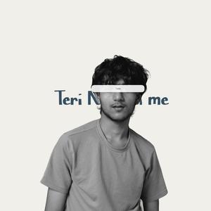 Teri Nazron Me