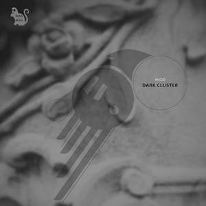 Dark Cluster (Original Mix)