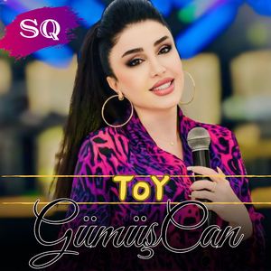 Toy