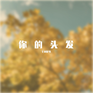 你的头发