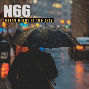 Rainy night in the city