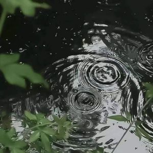 一千个伤心的理由