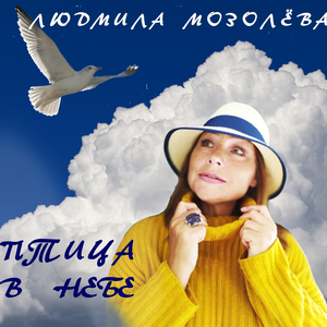 Птица в небе