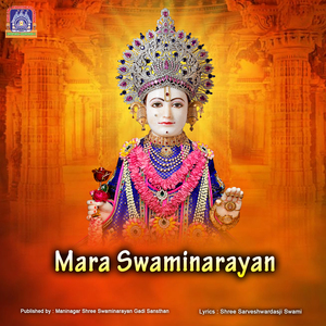 Mara Swaminarayan (Acoustic)