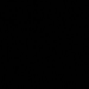 “——”（inst）