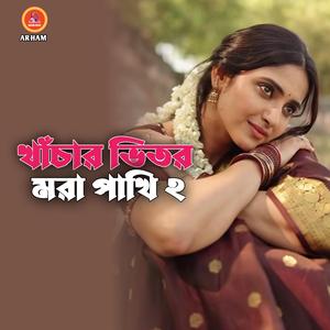 খাঁচার ভিতর মরা পাখি ২