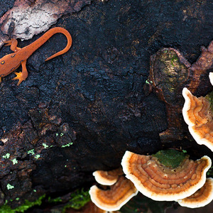 这辈子最对不起的就是自己