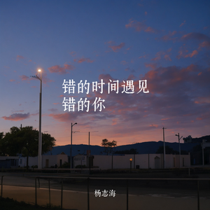 错的时间遇见错的你