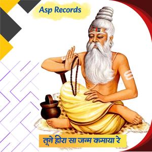 तूने हीरा सा जन्म कमाया रे