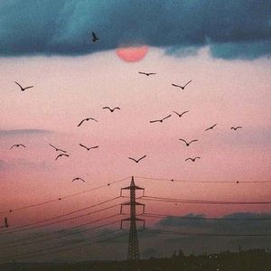 梦还给星光-整曲