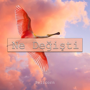 Ne Değişti