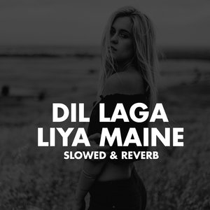 Dil Laga Liya Maine (Slowed & Reverb)