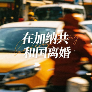 在加纳共和国离婚(痛心版)