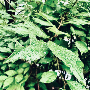 When the Morning Comes