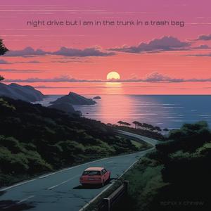 night drive but I am in the trunk in a trash bag (feat. Chainsaw For Birthday)