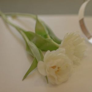 广播剧《唐妆浓》ED《庭芳》