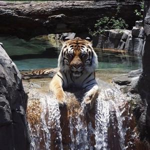 凌晨两点的北京