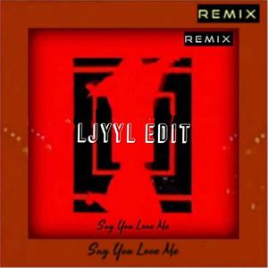 张振浩-Say you love me(Ljyyl edit)（CzXlR remix）