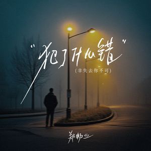 犯了什么错(非失去你不可)