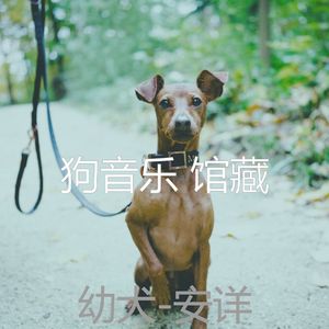 睡觉的小狗(太棒了)