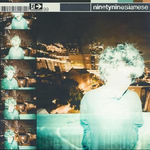 ninetyninesiamese