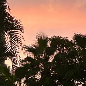 整个世界都变慢镜头