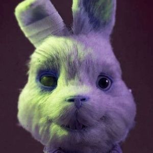 Кролик Ральф