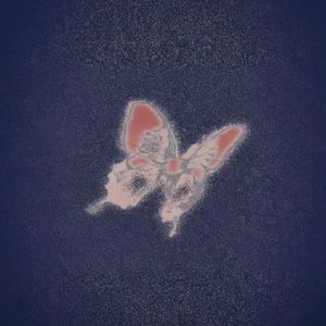 倒流笔记