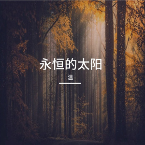 永恒的太阳