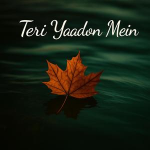 Teri Yaadon Mein